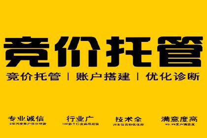SEM托管公司案例研究：创意广告设计